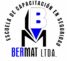 academiabermatseguridad.com